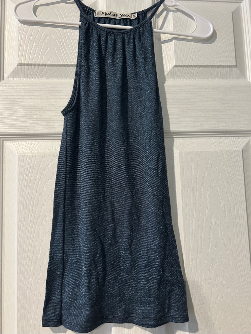 Worn 1X, Michael Stars Shimmery Dark Navy top, slim fit